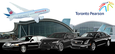 Airport Limousine And Taxi